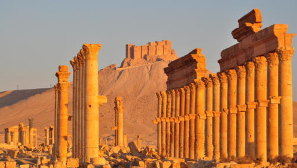 palmyra